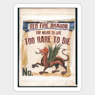 Vintage Dragon Magnet